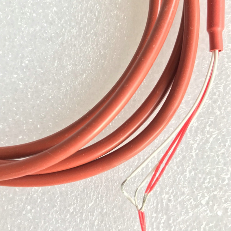10X2 Draad Pt1000 Temperatuur  - Food X recensie en prijs